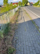 Foto: Gehweg verwuchert 